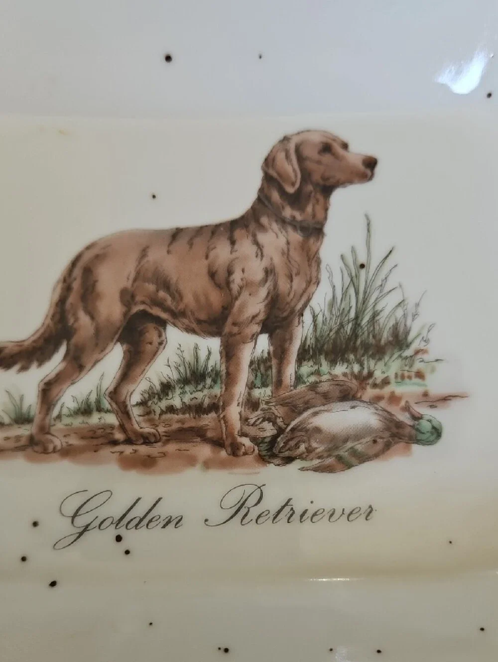 VINTAGE Speckled Stoneware Golden Retriever Porcelain Dog Trinket Tray - White